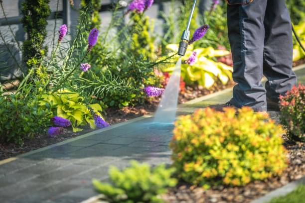 Best Animal Enclosure Cleaning  in Lake Butler, FL